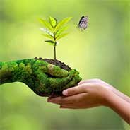 Names connected with nature and spirituality